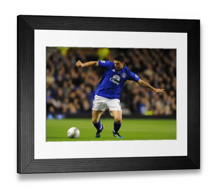 Framed Print : Carling Cup - Third Round - Everton v West Bromwich Albion - Goodison Park Framed Print : Carling Cup - Third Round - Everton v West Bromwich Albion - Goodison Park