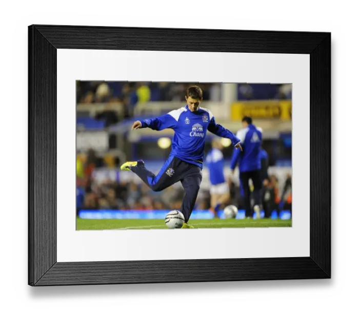 Framed Print : Diniyar Bilyaletdinov in Action: Everton vs. West Bromwich Albion, Carling Cup Round 3 (21 September 2011) Framed Print : Diniyar Bilyaletdinov in Action: Everton vs. West Bromwich Albion, Carling Cup Round 3 (21 September 2011)