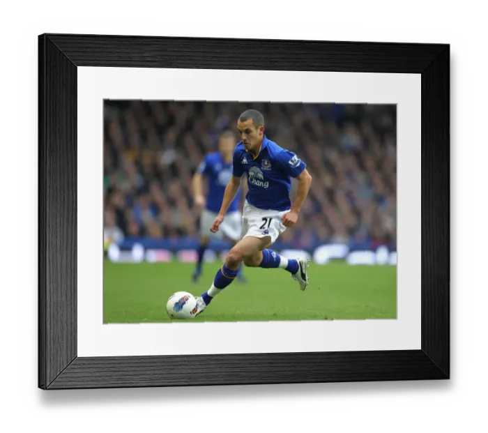Framed Print : Leon Osman at Goodison Park: Everton vs Manchester United - Barclays Premier League (29 October 2011) Framed Print : Leon Osman at Goodison Park: Everton vs Manchester United - Barclays Premier League (29 October 2011)