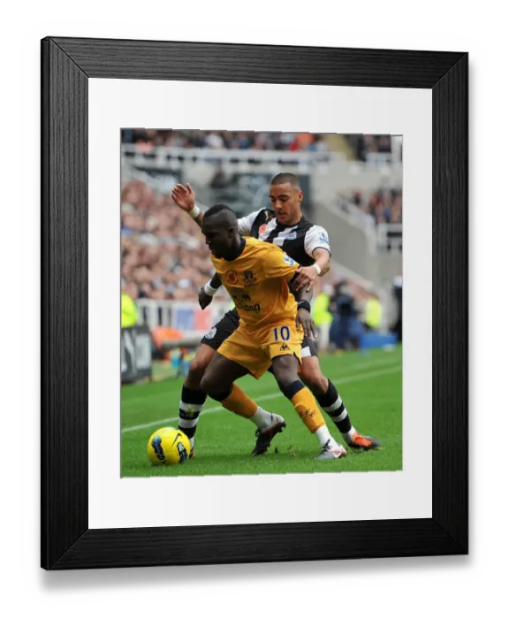 Framed Print : Barclays Premier League - Newcastle United v Everton - St James Park Framed Print : Barclays Premier League - Newcastle United v Everton - St James Park