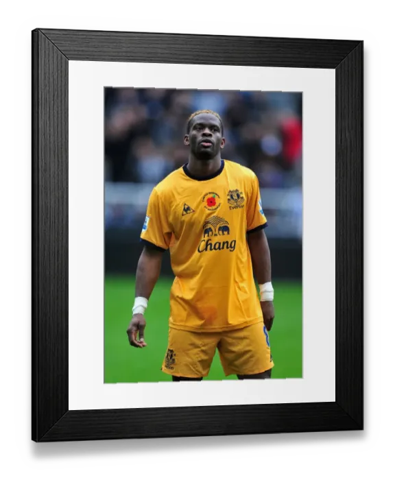 Framed Print : Louis Saha's Stunning Goal: Everton Triumphs at Newcastle United (5 November 2011) Framed Print : Louis Saha's Stunning Goal: Everton Triumphs at Newcastle United (5 November 2011)