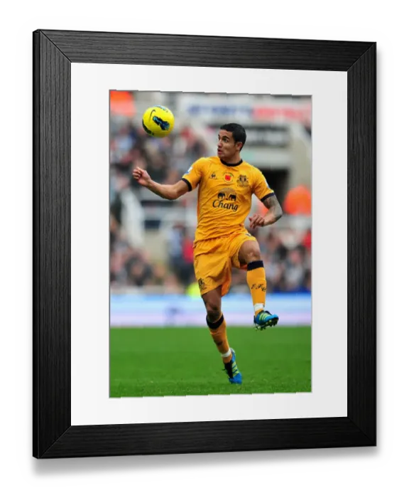 Framed Print : Tim Cahill's Thrilling Goal: Everton's Premier League Victory Over Newcastle United (November 2011) Framed Print : Tim Cahill's Thrilling Goal: Everton's Premier League Victory Over Newcastle United (November 2011)