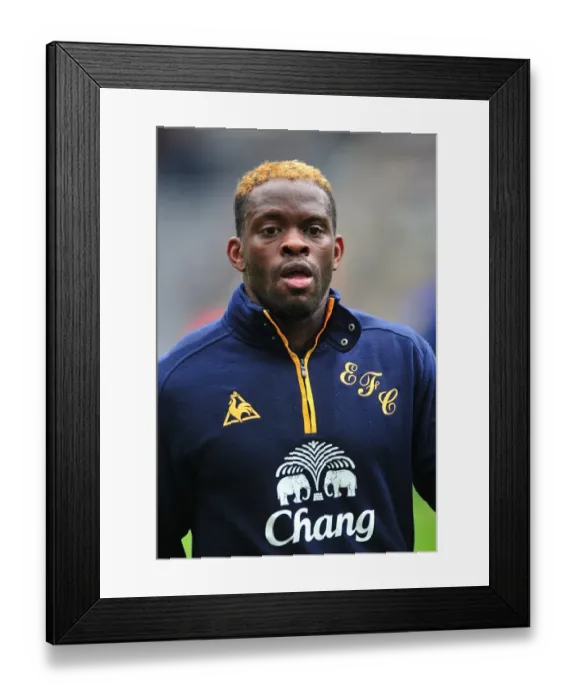 Framed Print : Louis Saha's Stunning Goal: Everton's Triumph at Newcastle United (November 5, 2011) Framed Print : Louis Saha's Stunning Goal: Everton's Triumph at Newcastle United (November 5, 2011)