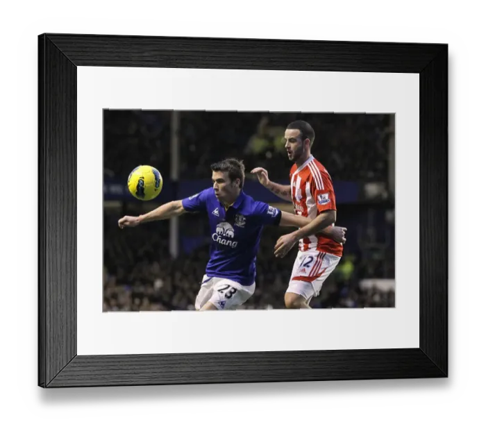 Framed Print : Barclays Premier League - Everton v Stoke City - Goodison Park Framed Print : Barclays Premier League - Everton v Stoke City - Goodison Park