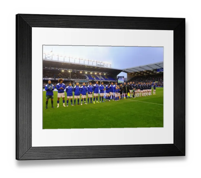 Framed Print : Premier League Showdown: Everton vs Stoke City - Pre-Game Line-Up at Goodison Park (December 2011) Framed Print : Premier League Showdown: Everton vs Stoke City - Pre-Game Line-Up at Goodison Park (December 2011)