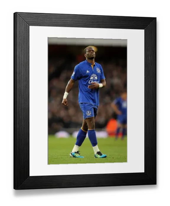 Framed Print : Louis Saha's Thrilling Goal: Arsenal vs. Everton, Premier League Rivalry Ignites (10 December 2011, Emirates Stadium) Framed Print : Louis Saha's Thrilling Goal: Arsenal vs. Everton, Premier League Rivalry Ignites (10 December 2011, Emirates Stadium)