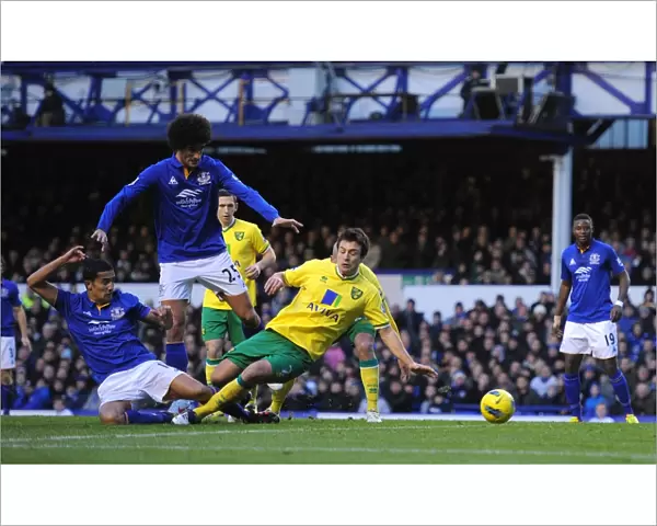 Barclays Premier League - Everton v Norwich City - Goodison Park