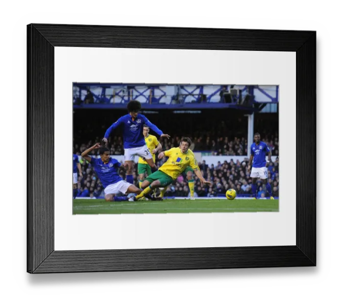 Framed Print : Barclays Premier League - Everton v Norwich City - Goodison Park Framed Print : Barclays Premier League - Everton v Norwich City - Goodison Park