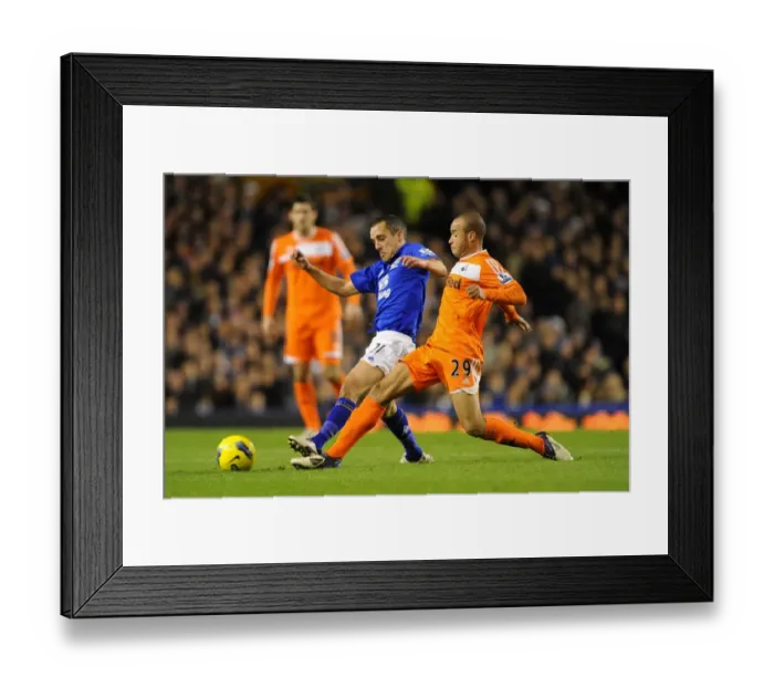 Framed Print : A Battle for the Ball: Osman vs. Richards at Goodison Park - Everton vs. Swansea City (Premier League, 21 December 2011) Framed Print : A Battle for the Ball: Osman vs. Richards at Goodison Park - Everton vs. Swansea City (Premier League, 21 December 2011)