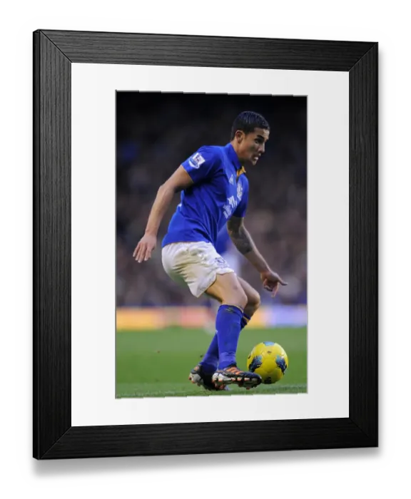 Framed Print : Tim Cahill's Thunderbolt: Everton's Unforgettable Victory Over Norwich City (17 December 2011) Framed Print : Tim Cahill's Thunderbolt: Everton's Unforgettable Victory Over Norwich City (17 December 2011)