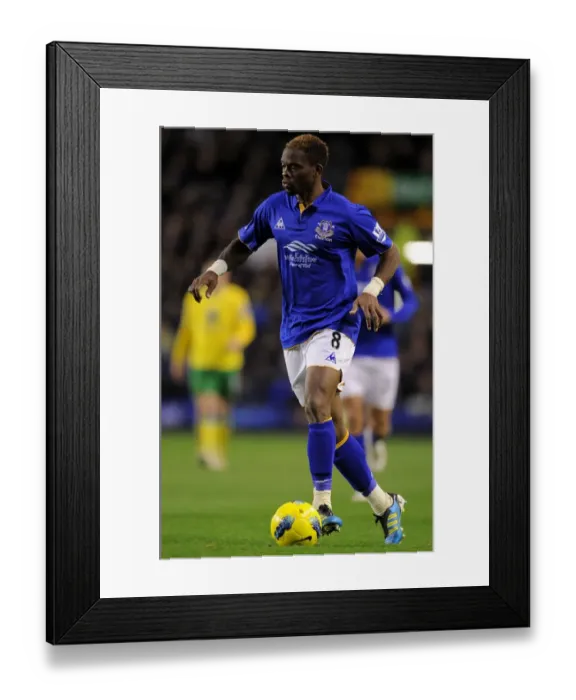 Framed Print : Thrilling Saha Strike: Everton vs. Norwich City, Barclays Premier League (17 December 2011, Goodison Park) Framed Print : Thrilling Saha Strike: Everton vs. Norwich City, Barclays Premier League (17 December 2011, Goodison Park)