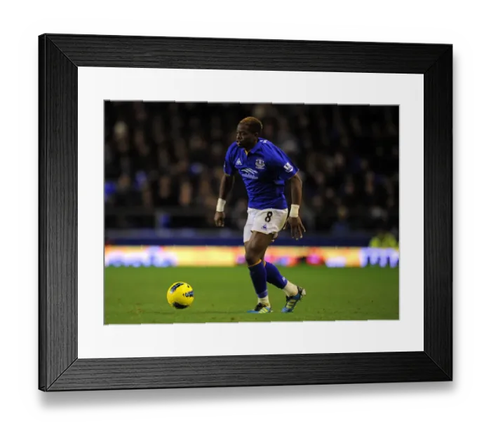 Framed Print : Louis Saha's Stunner: Everton's Winning Goal Against Norwich City (17 December 2011, Goodison Park) Framed Print : Louis Saha's Stunner: Everton's Winning Goal Against Norwich City (17 December 2011, Goodison Park)