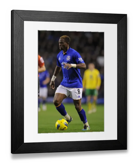 Framed Print : Louis Saha's Stunner: Everton's Victory Over Norwich City (17 December 2011, Goodison Park)