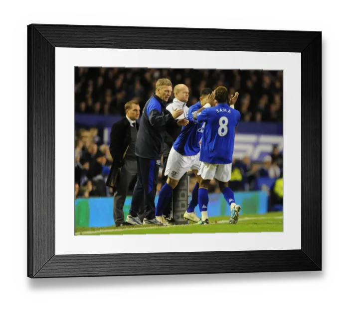 Framed Print : Barclays Premier League - Everton v Swansea City - Goodison Park Framed Print : Barclays Premier League - Everton v Swansea City - Goodison Park