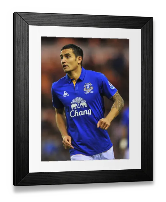 Framed Print : Tim Cahill's Thrilling Goal: Everton's BPL Victory at Sunderland (26 December 2011)