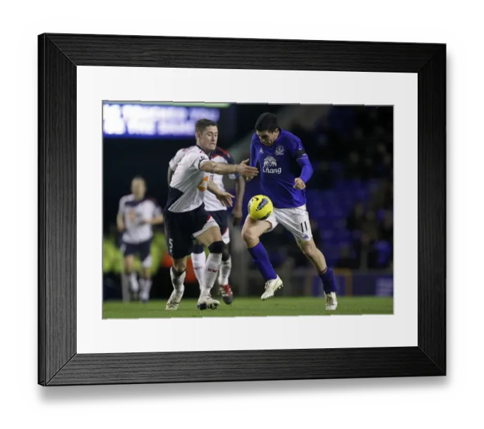 Framed Print : Intense Rivalry: Stracqualursi vs. Cahill's Battle for Ball Supremacy at Goodison Park - Everton vs. Bolton Wanderers, Barclays Premier League (04 January 2012) Framed Print : Intense Rivalry: Stracqualursi vs. Cahill's Battle for Ball Supremacy at Goodison Park - Everton vs. Bolton Wanderers, Barclays Premier League (04 January 2012)