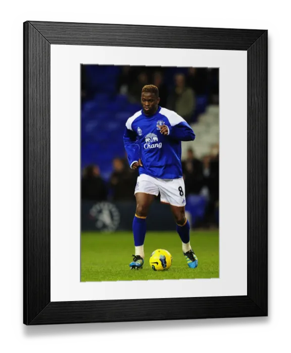 Framed Print : Everton's Unforgettable Saha Strike: Triumphing Over Tottenham Hotspur in the BPL (2011-12) Framed Print : Everton's Unforgettable Saha Strike: Triumphing Over Tottenham Hotspur in the BPL (2011-12)
