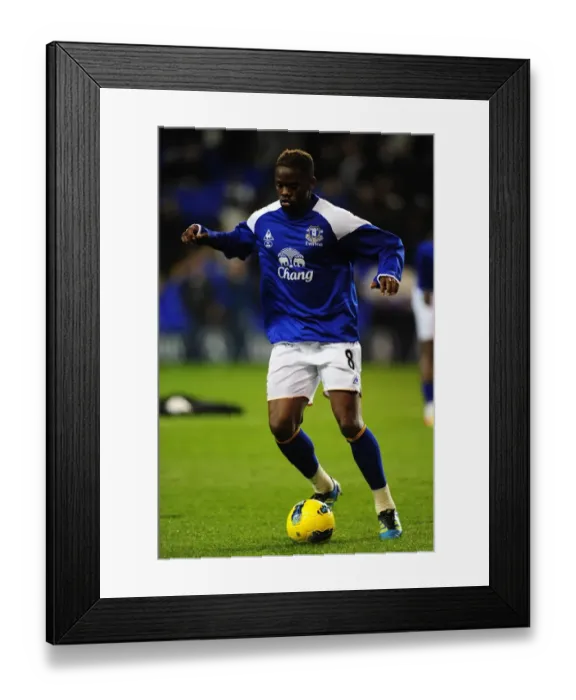 Framed Print : Thrilling Saha Strike: Everton's Victory Over Tottenham Hotspur in the Premier League (11 January 2012)