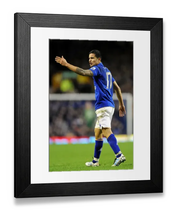 Framed Print : Tim Cahill's Thunderbolt: Everton's Unforgettable Goal Against Blackburn Rovers, Goodison Park - Barclays Premier League