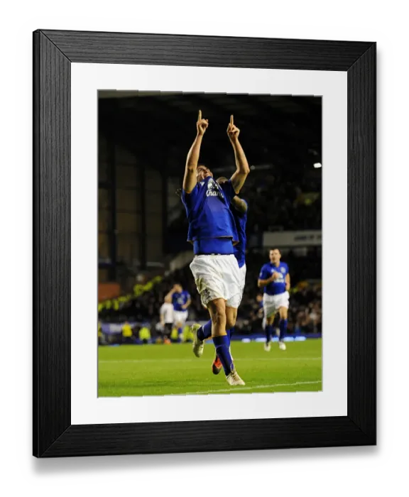 Framed Print : Denis Stracqualursi's FA Cup Goal: Everton's First Against Fulham at Goodison Park (January 2012) Framed Print : Denis Stracqualursi's FA Cup Goal: Everton's First Against Fulham at Goodison Park (January 2012)