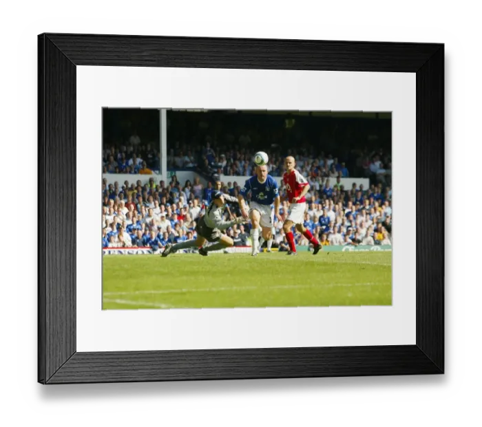 Framed Print : Lee Carsley's Stunner: Everton's Key Moment Against Arsenal (15 / 8 / 04), Barclays Premiership Season 04-05 Framed Print : Lee Carsley's Stunner: Everton's Key Moment Against Arsenal (15 / 8 / 04), Barclays Premiership Season 04-05