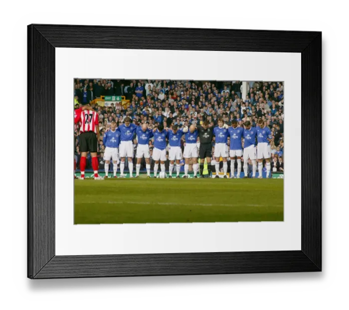 Framed Print : 16 10 04 Job No 04101601 Barclays Premiership Everton v Southampton Goodison Framed Print : 16 10 04 Job No 04101601 Barclays Premiership Everton v Southampton Goodison