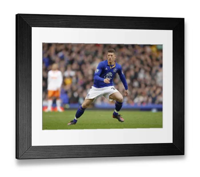 Framed Print : FA Cup Fifth Round: Everton's Ross Barkley Shines at Goodison Park Against Blackpool Framed Print : FA Cup Fifth Round: Everton's Ross Barkley Shines at Goodison Park Against Blackpool