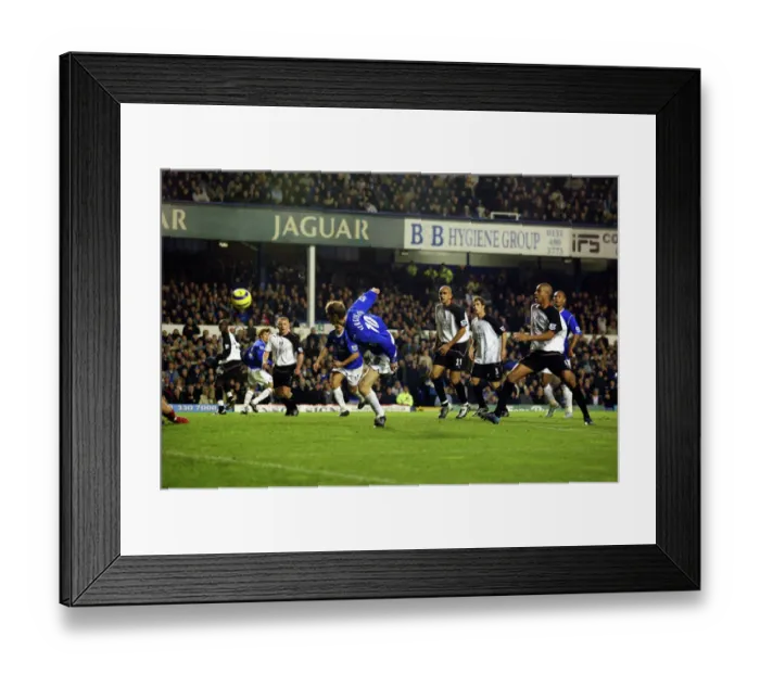 Framed Print : Everton 1 Fulham 0