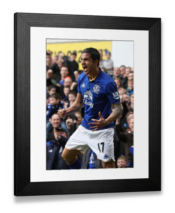 Framed Print : Tim Cahill's Thunderbolt: Everton's Historic FA Cup Goal vs. Sunderland (17 March 2012) Framed Print : Tim Cahill's Thunderbolt: Everton's Historic FA Cup Goal vs. Sunderland (17 March 2012)