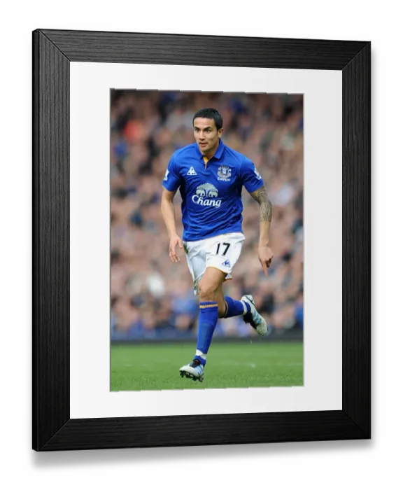 Framed Print : Tim Cahill's Thunderbolt: Everton's FA Cup Victory Over Sunderland (17 March 2012) Framed Print : Tim Cahill's Thunderbolt: Everton's FA Cup Victory Over Sunderland (17 March 2012)