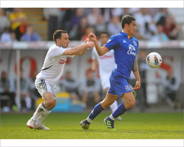 Intense Rivalry: Britton vs. Cahill - Swansea City vs. Everton (Premier League Clash, 24 March 2012, Liberty Stadium)