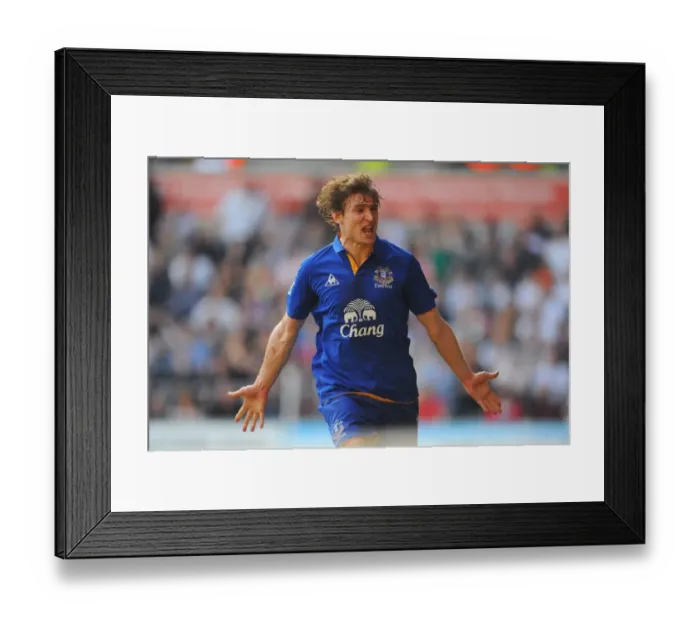 Framed Print : Jelavic Scores Everton's Second Goal: Swansea City vs. Everton, Barclays Premier League (24 March 2012) Framed Print : Jelavic Scores Everton's Second Goal: Swansea City vs. Everton, Barclays Premier League (24 March 2012)