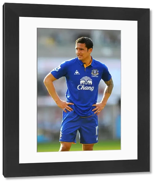 Tim Cahill's Thunderbolt: Everton's Epic Victory Over Swansea City in the Barclays Premier League (24 March 2012, Liberty Stadium)