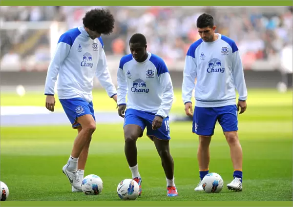 Everton's Gueye Gears Up for Swansea Showdown at Liberty Stadium (BPL, 24 March 2012)