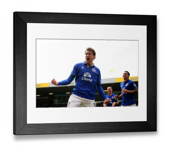 Framed Print : Jelavic Doubles Up: Everton's Winning Moment vs. Norwich City (07.04.2012, Barclays Premier League) Framed Print : Jelavic Doubles Up: Everton's Winning Moment vs. Norwich City (07.04.2012, Barclays Premier League)