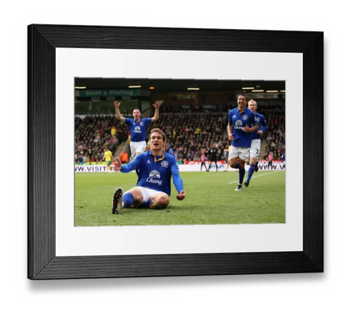 Framed Print : Jelavic's Brace: Everton Secures Victory Over Norwich City (07 April 2012, BPL) Framed Print : Jelavic's Brace: Everton Secures Victory Over Norwich City (07 April 2012, BPL)