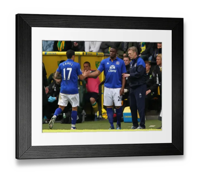 Framed Print : David Moyes Gives Instructions as Anichebe Replaces Cahill: Everton FC vs. Norwich City, Barclays Premier League (07 April 2012)