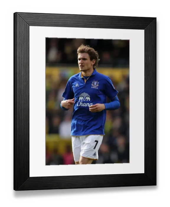 Framed Print : Jelavic's Strike: Everton's Triumph over Norwich City (April 2012, Premier League) Framed Print : Jelavic's Strike: Everton's Triumph over Norwich City (April 2012, Premier League)