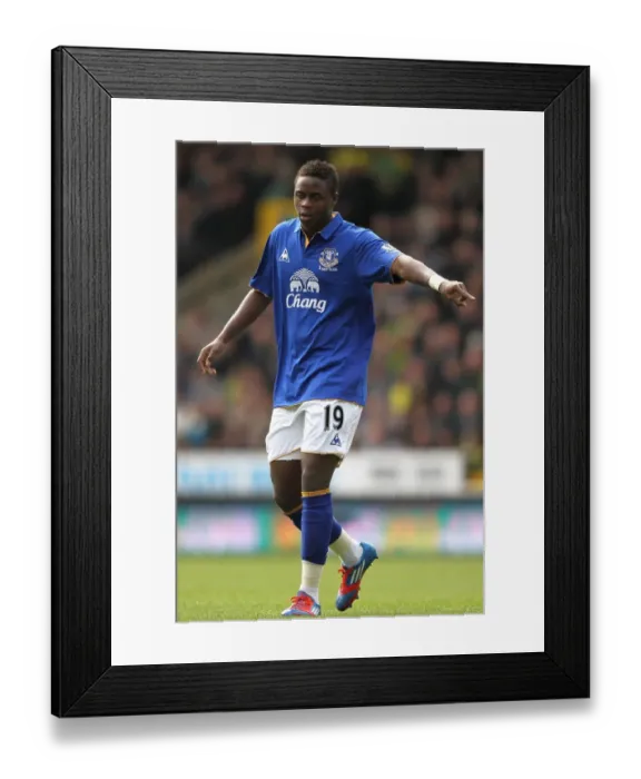 Framed Print : Magaye Gueye in Action: Everton vs. Norwich City, Barclays Premier League (07 April 2012)