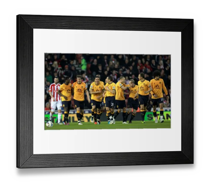 Framed Print : Everton's Unintended Triumph: Celebrating Stoke City's Own Goal (01 May 2012) Framed Print : Everton's Unintended Triumph: Celebrating Stoke City's Own Goal (01 May 2012)