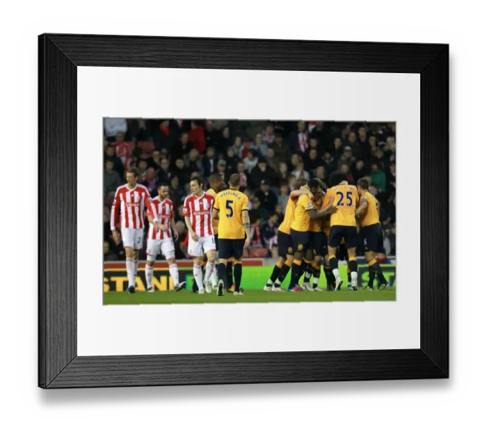 Framed Print : Everton's Unintended Victory: The Unforgettable Own Goal by Stoke City (01 May 2012) Framed Print : Everton's Unintended Victory: The Unforgettable Own Goal by Stoke City (01 May 2012)