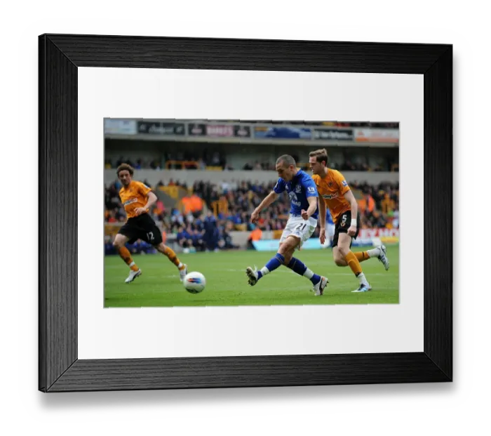 Framed Print : Determined Moment: Leon Osman's Shot for Everton at Molineux Stadium (06 May 2012, Barclays Premier League)