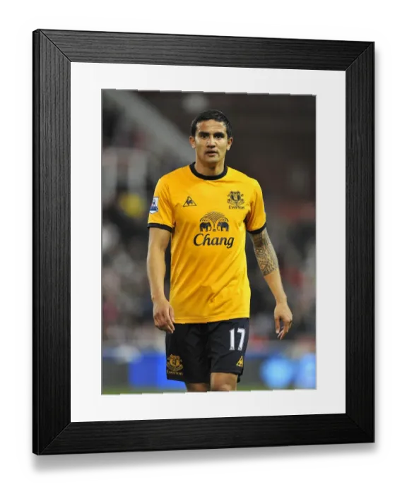 Framed Print : Tim Cahill's Thrilling Goal: Everton's Victory at Stoke City (May 2012), Barclays Premier League