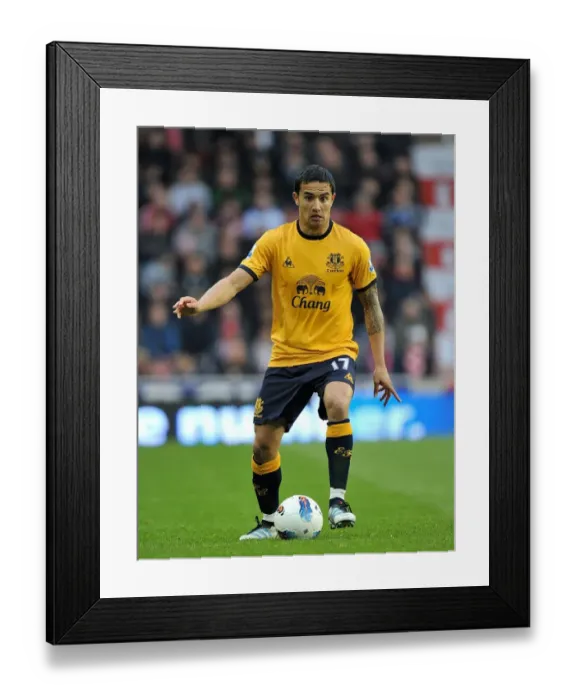 Framed Print : Tim Cahill's Epic Goal: Everton's Victory over Stoke City (01 May 2012, Britannia Stadium)