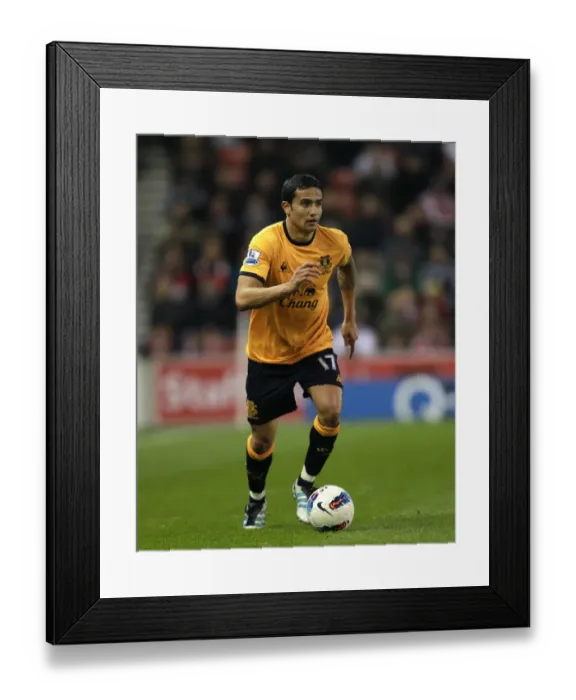 Framed Print : Tim Cahill's Thriller: Everton's Unforgettable Victory Over Stoke City (01 May 2012, Britannia Stadium)