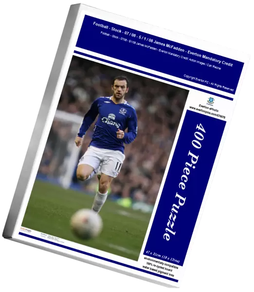 Football - Stock - 07  /  08 - 5  /  1  /  08 James McFadden - Everton Mandatory Credit