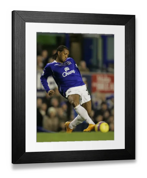 Framed Print : Everton v Tottenham Hotspur Barclays Premier League - Goodison Park - 30  /  1  /  08
