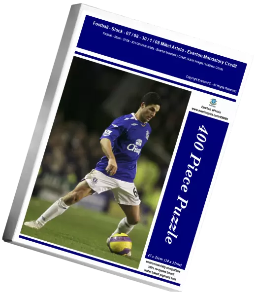 Football - Stock - 07  /  08 - 30  /  1  /  08 Mikel Arteta - Everton Mandatory Credit