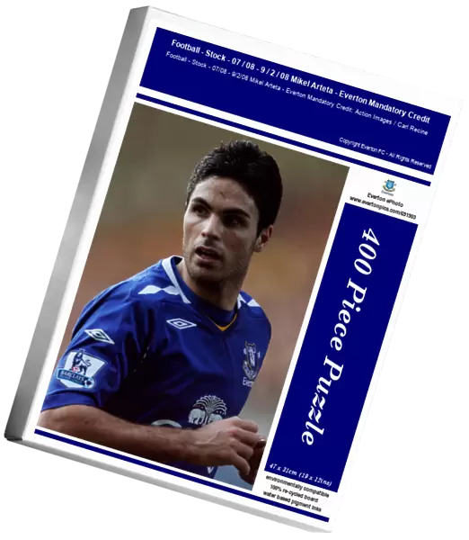 Football - Stock - 07  /  08 - 9  /  2  /  08 Mikel Arteta - Everton Mandatory Credit