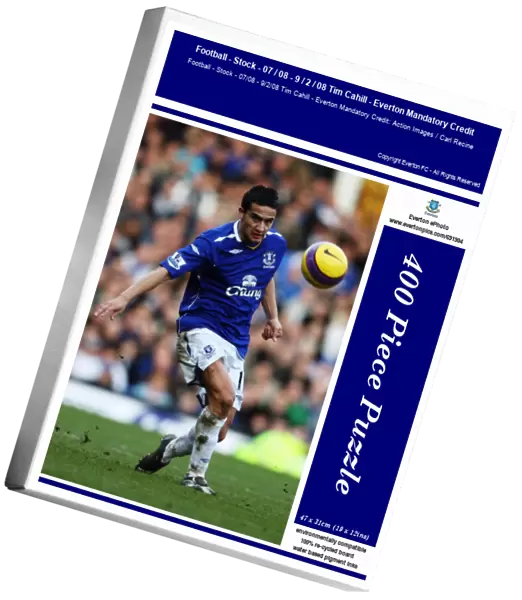 Football - Stock - 07  /  08 - 9  /  2  /  08 Tim Cahill - Everton Mandatory Credit